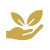 Sustainable
